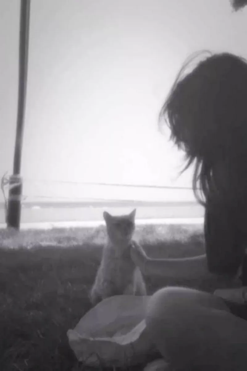 Avatar Buồn Nữ Anime Lạnh Lùng