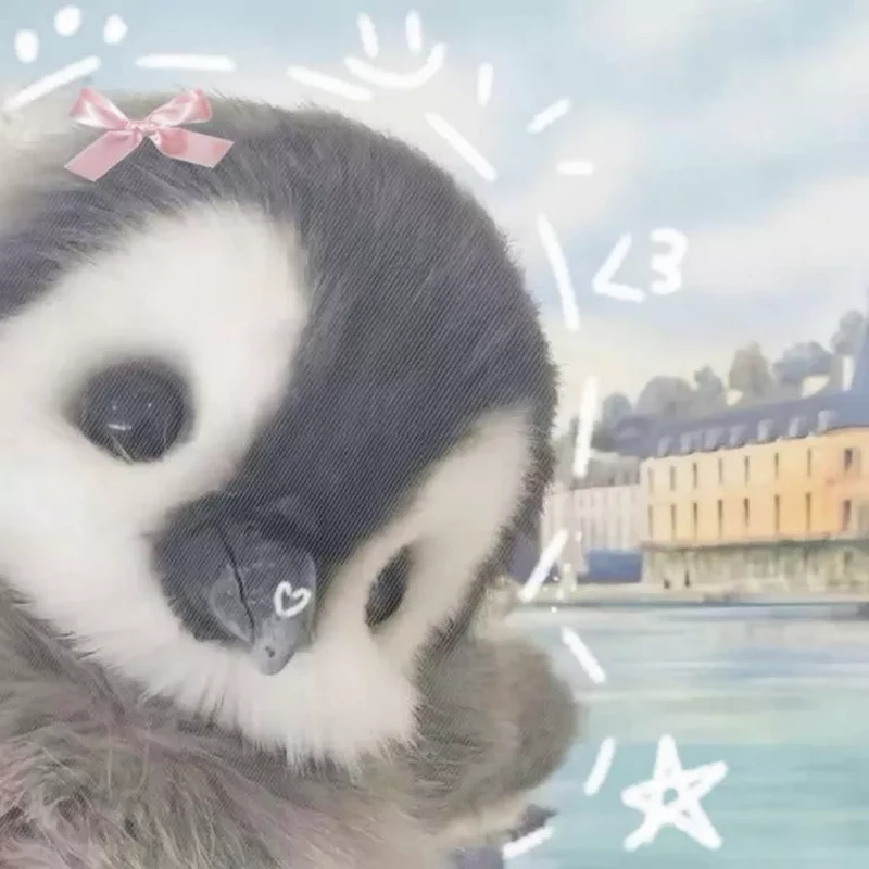 Avatar TikTok Cute Dễ Thương Dành Cho Bạn Gái