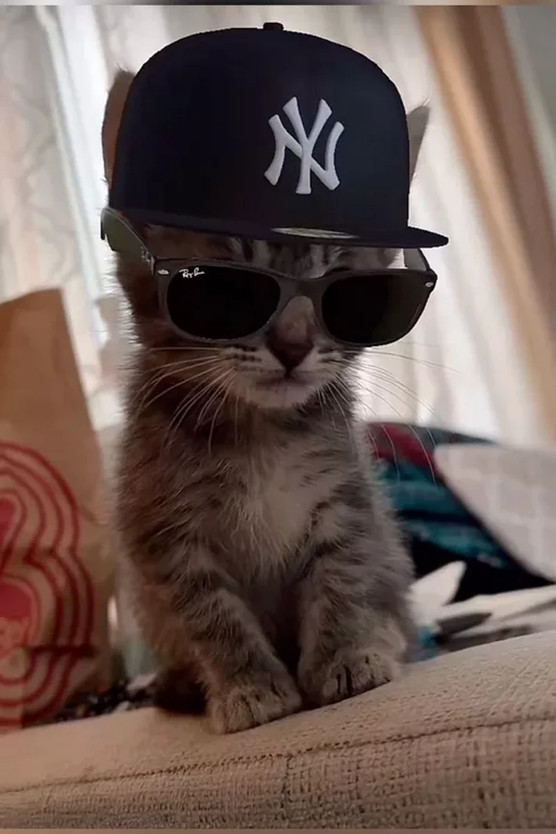 Avatar TikTok Nghệ Thuật Phá Cách Độc Đáo