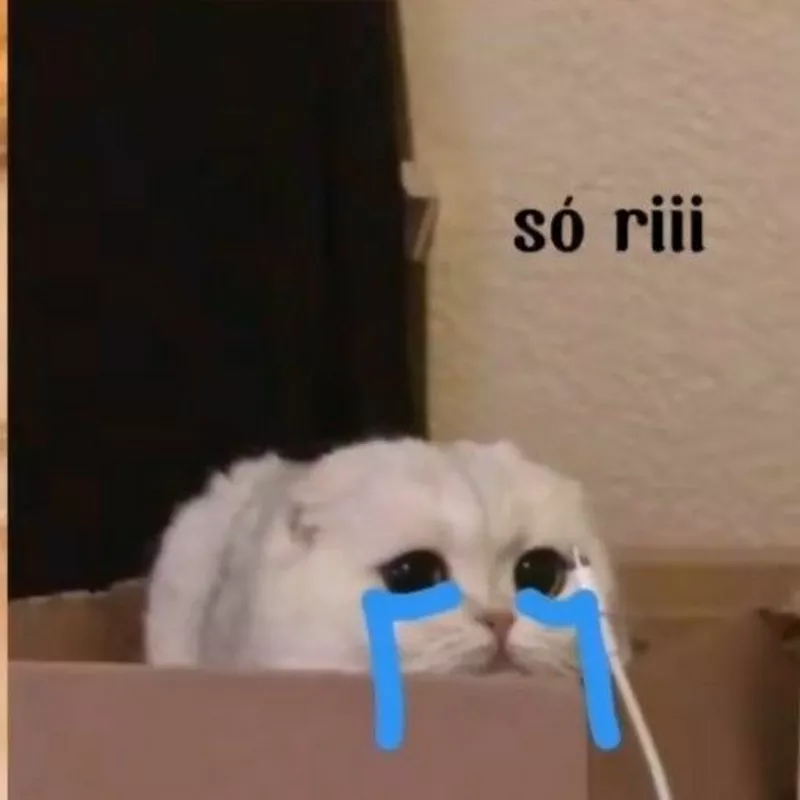 Meme Xin Lỗi Cực Hài Khi Bị Bắt Lỗi