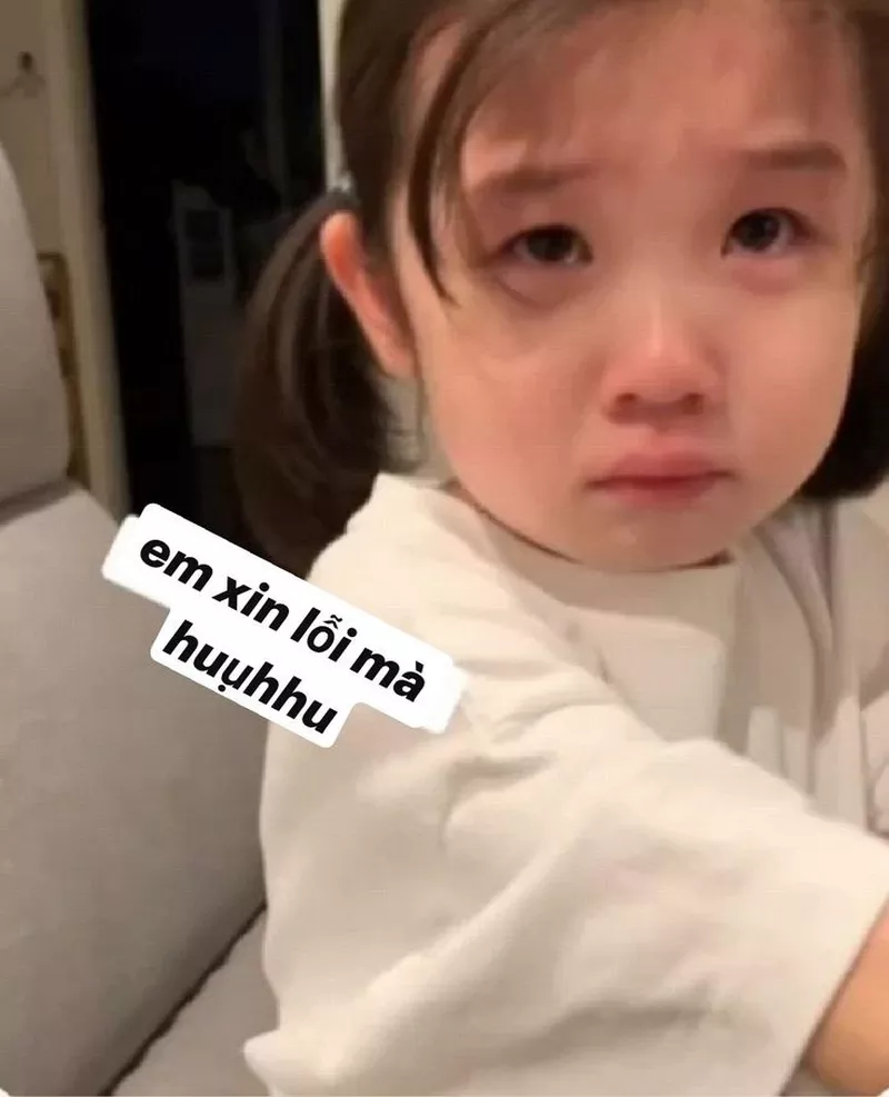 Meme Xin Lỗi Cực Hài Khi Bị La