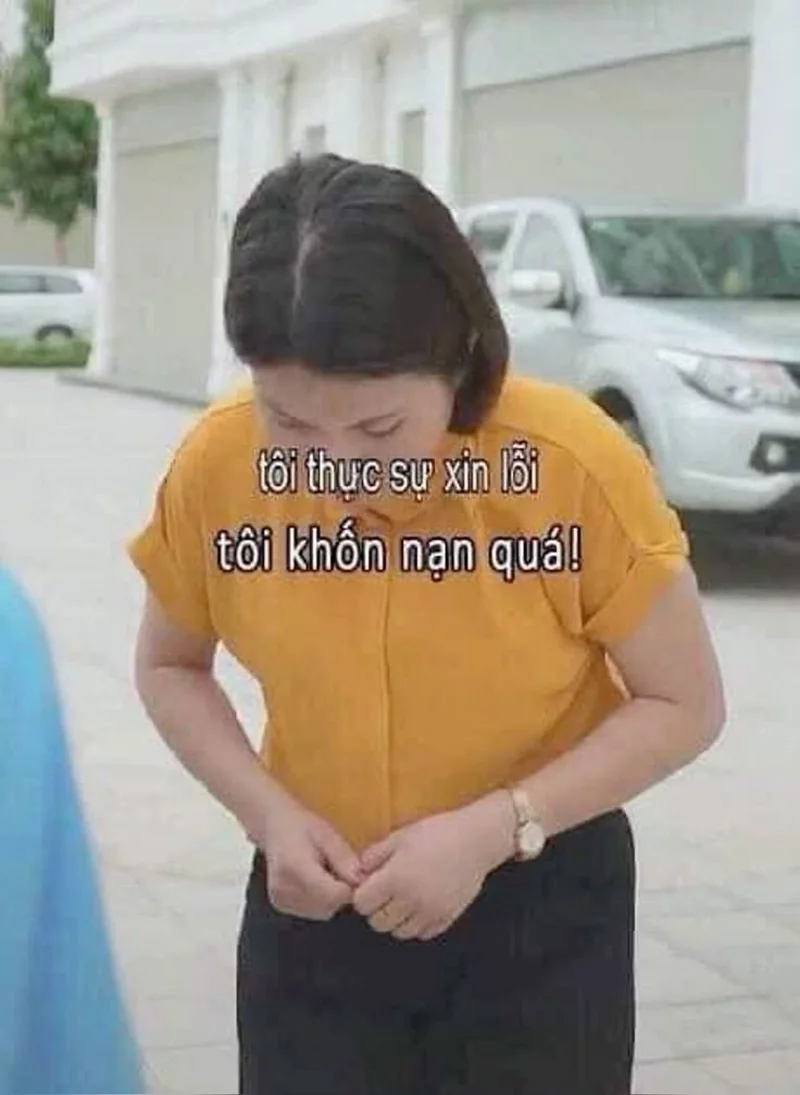 Meme Xin Lỗi Đáng Yêu Khi Lỡ Dại