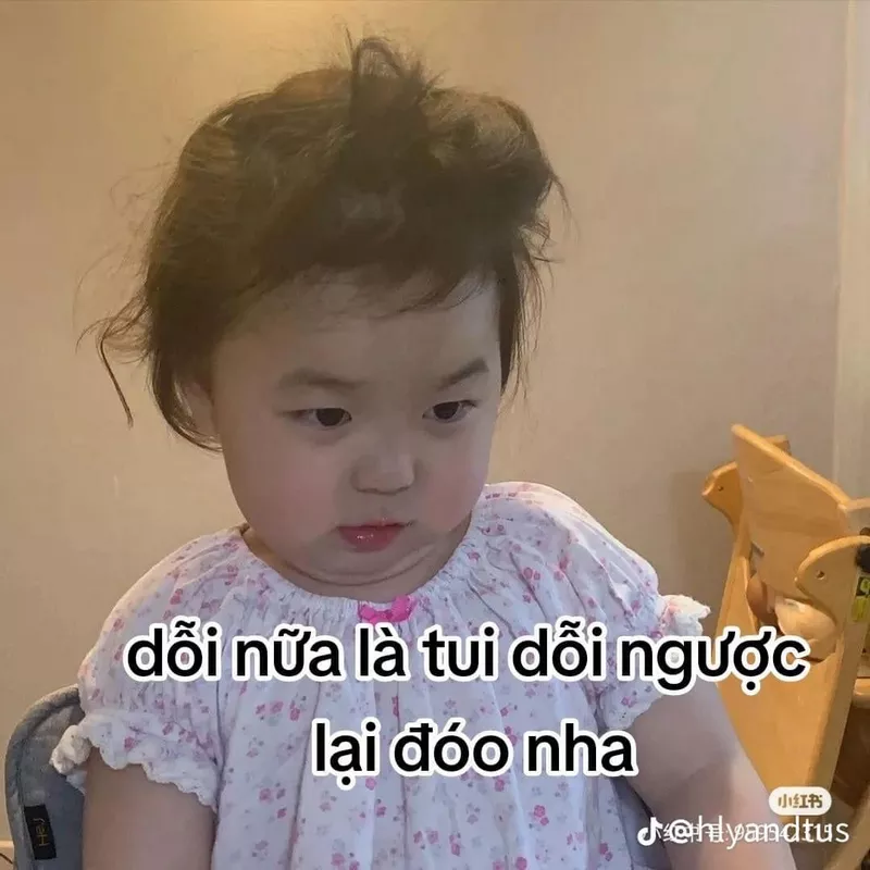 Meme Xin Lỗi Dễ Thương Khiến Ai Cũng Mềm Lòng