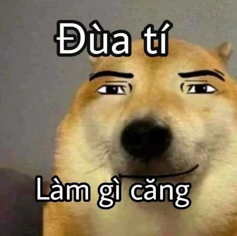 Meme Xin Lỗi Hài Hước Cho Tình Huống Khó Đỡ