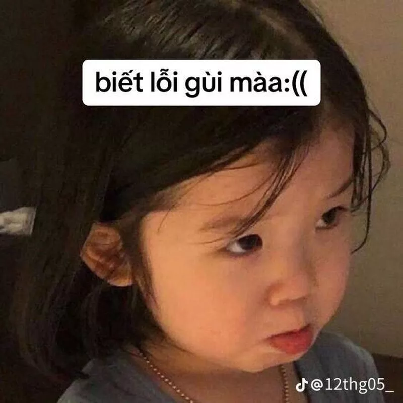 Meme Xin Lỗi Khi Không Trả Lời Tin Nhắn