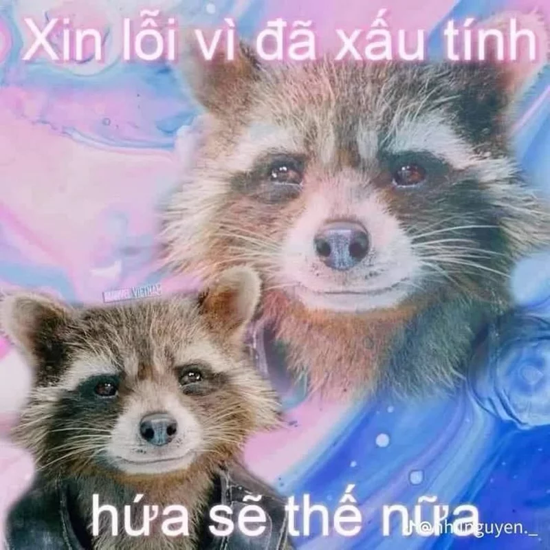 Meme Xin Lỗi Khi Lỡ Ăn Hết Đồ