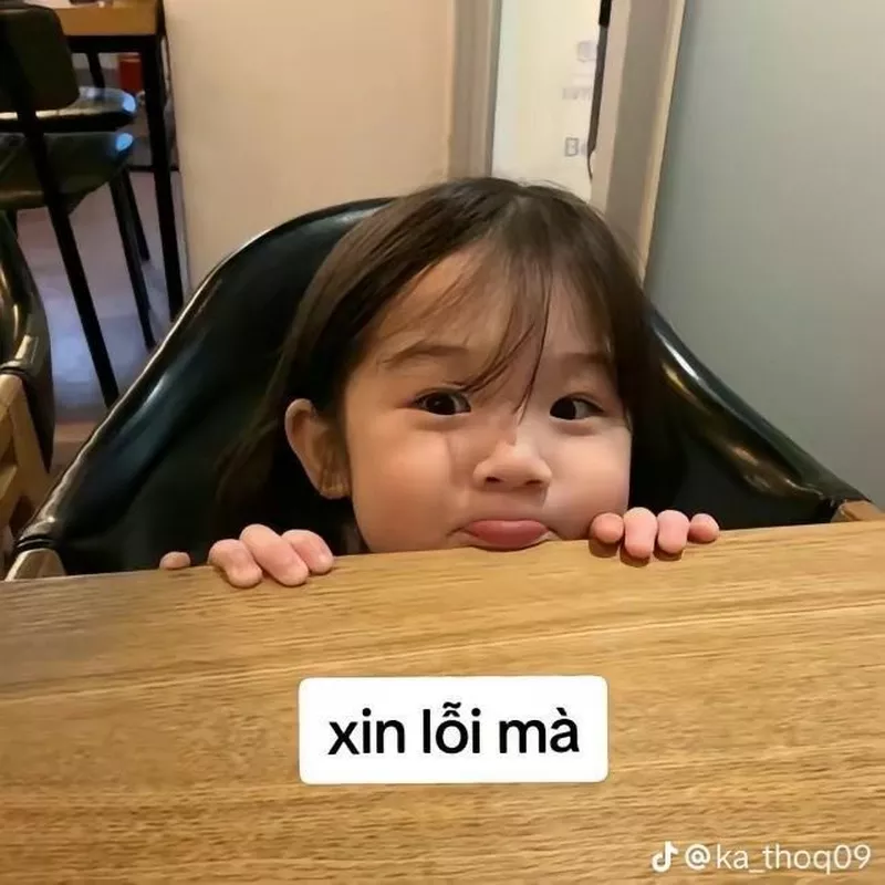 Meme Xin Lỗi Khi Lỡ Chọc Giận Crush