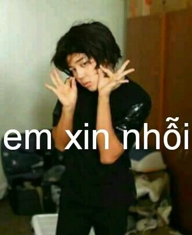 Meme Xin Lỗi Khi Lỡ Đùa Quá Trớn