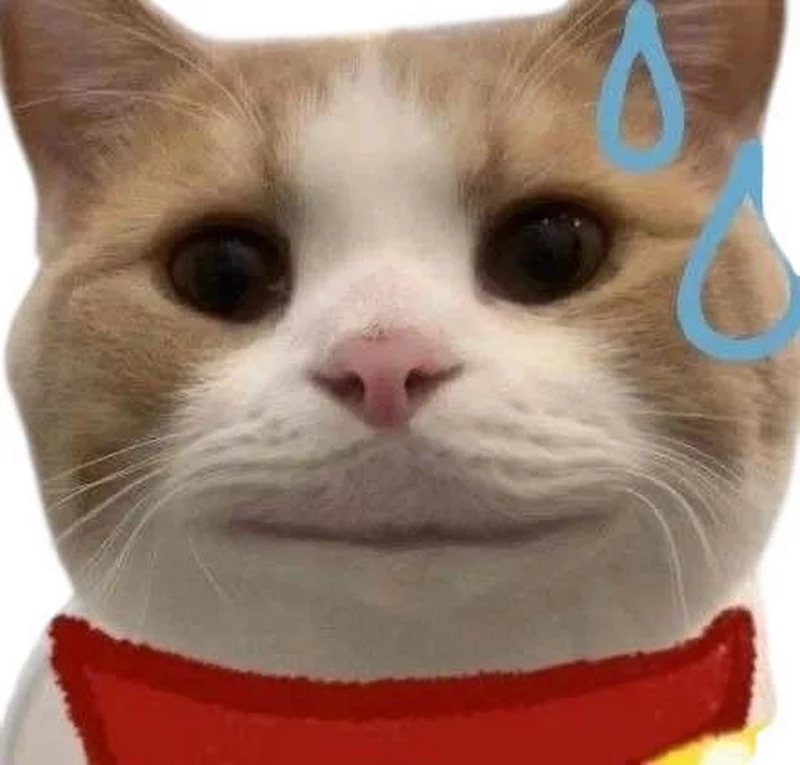 Meme Xin Lỗi Khi Lỡ Làm Người Khác Thất Vọng