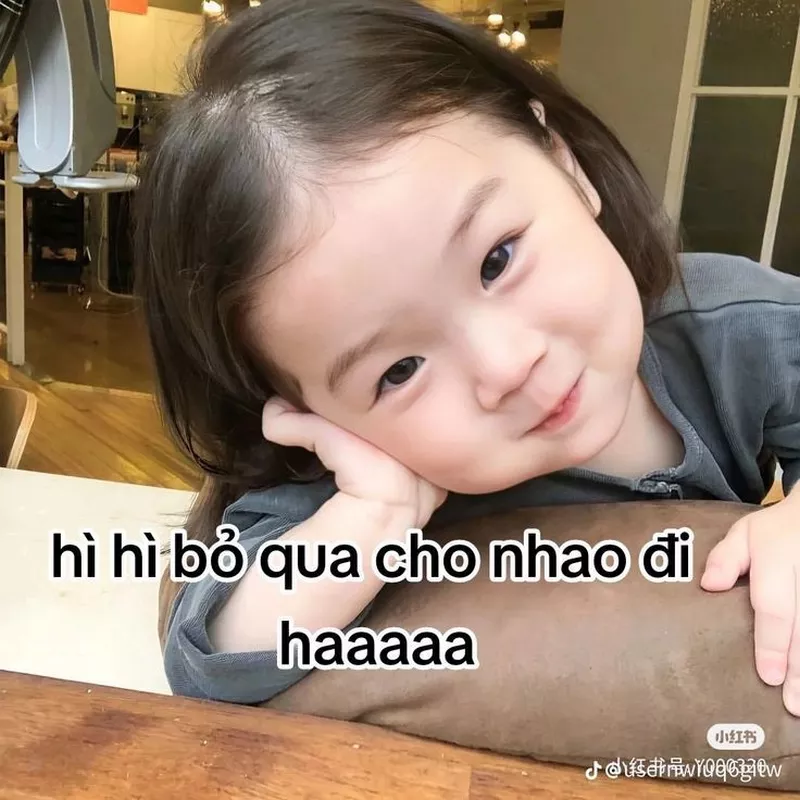 Meme Xin Lỗi Khi Lỡ Làm Sai Nhiệm Vụ