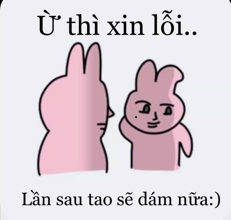 Meme Xin Lỗi Khi Lỡ Quên Sinh Nhật