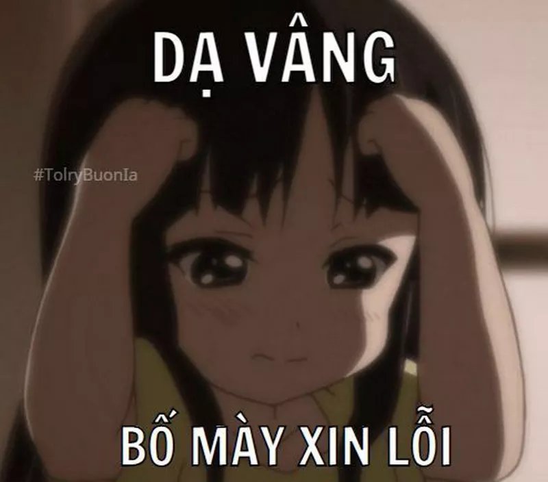 Meme Xin Lỗi Khi Quá Lầy Lội