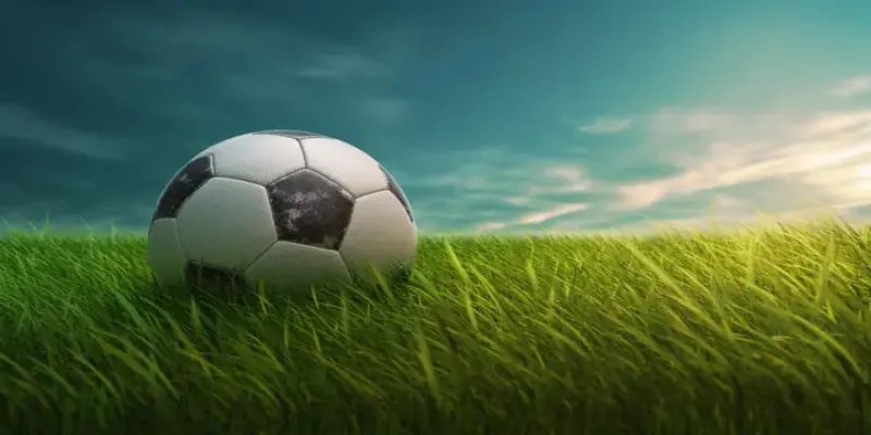 Người chơi nên tìm hiểu đặc điểm từng chuyên mục