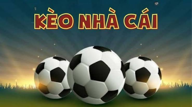 Kinh nghiệm phân tích trước khi đặt cược